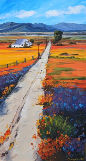 Color of the land